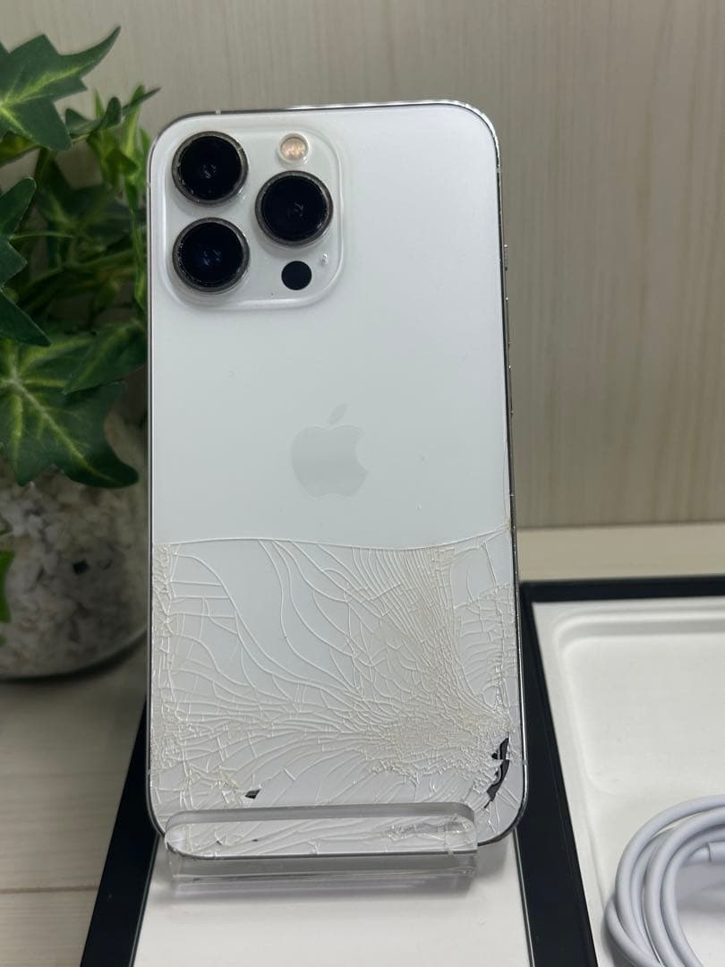 ✅✨iPhone 13 Pro 256GB シルバー✨訳あり