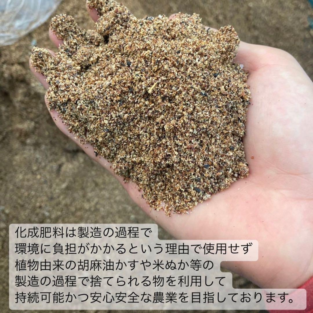 【日本茶×〇〇】眠りに誘う癒しの味わい♪ほうじ茶カモミール 3g×20個