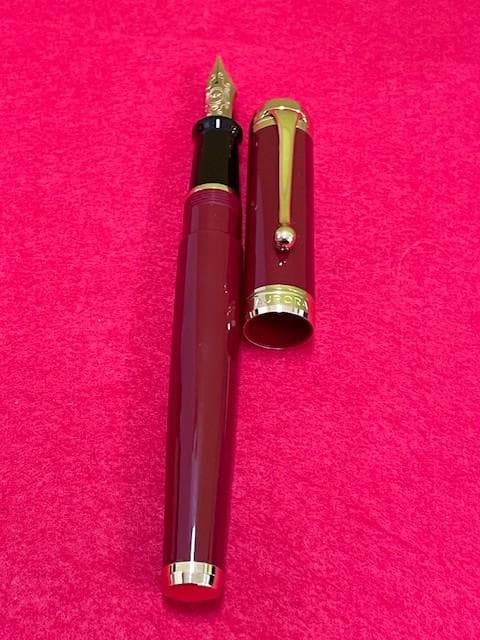 未使用品 AURORA アウロラ万年筆 タレンタム ボルドー 14k EF 即送