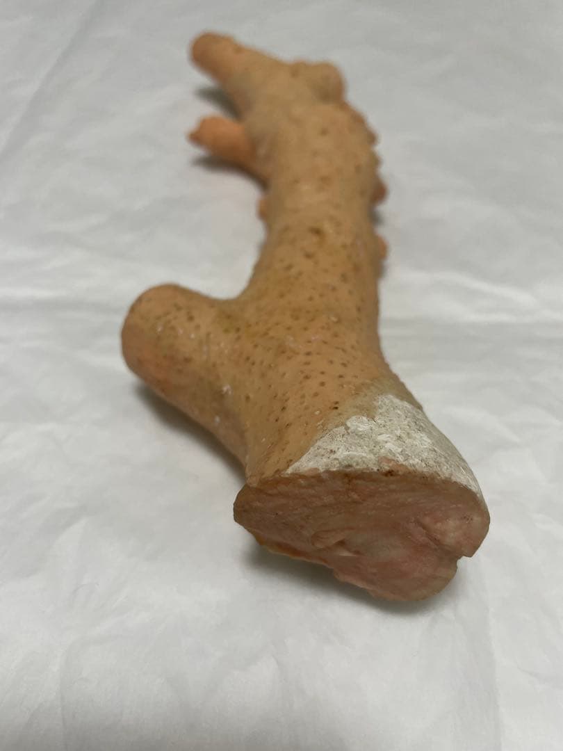 珊瑚サンゴ、桃珊瑚、ピンク珊瑚原木の置物