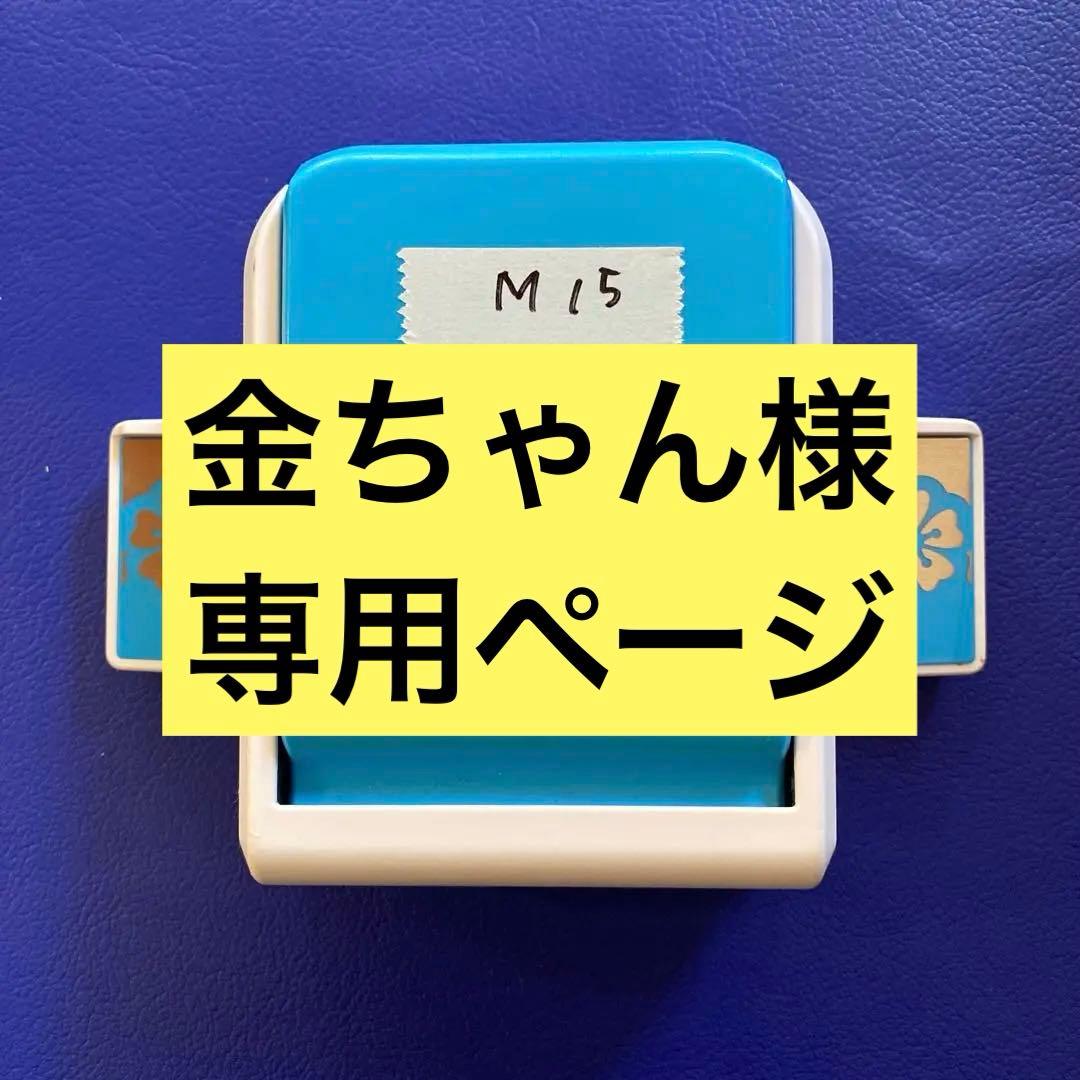 CMJ ハイビスカスパンチ　M15